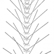 Bases PC (50x20+15 cm) con 40 Púas